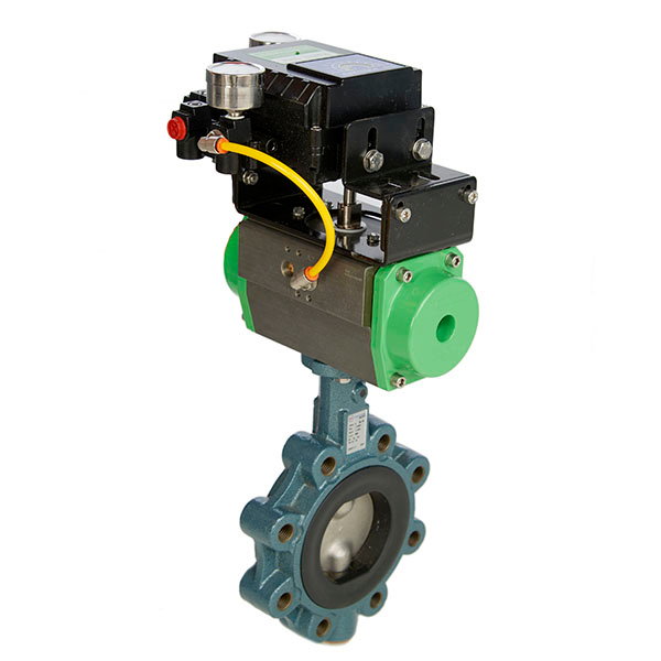 Butterfly Control Valve